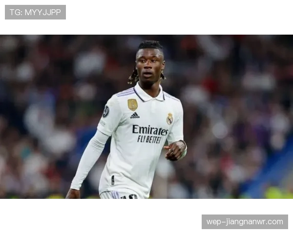 卡马文加与楚阿梅尼：后腰角色差异及法国队体系适配性分析